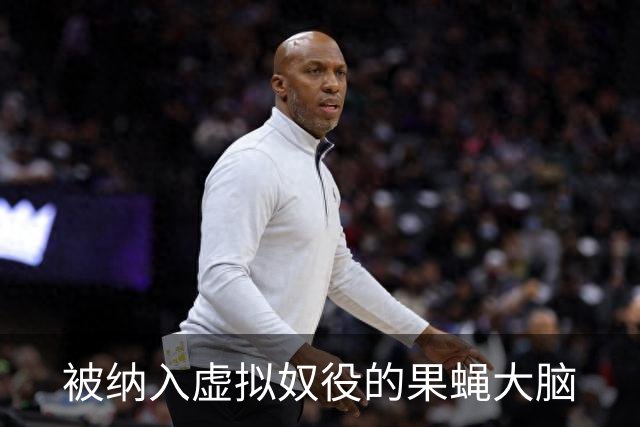 被纳入虚拟奴役的果蝇大脑